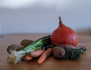 Opens page 'Auf das Süppchen - fertig - los!'